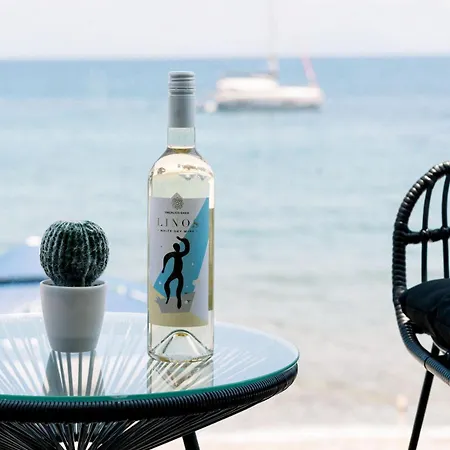 Διαμέρισμα Ristanis Horizon Mare Luxury Beachfront Retreat